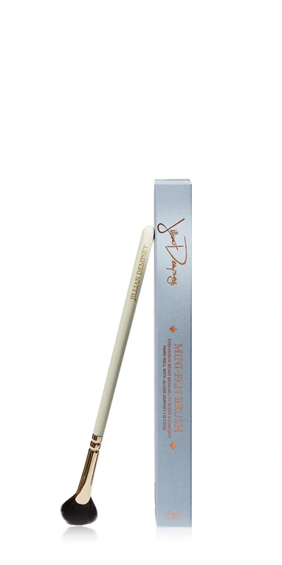 Jillian Dempsey Mini Fan Brush
