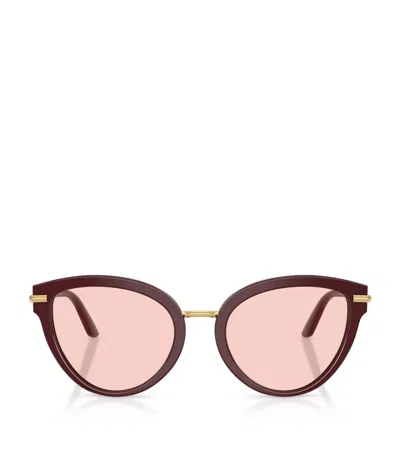 Dolce & Gabbana Dg4492 Butterfly Acetate Sunglasses In Bordeaux