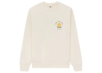 Pre-owned Aimé Leon Dore Men's Aime Leon Dore X New Balance Sonny League Crewneck Sweatshirt In Cream In White