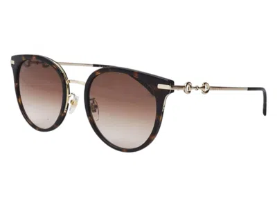 Pre-owned Gucci Round Sunglasses In Havana Gold Brown (gg1015sk/003/56)