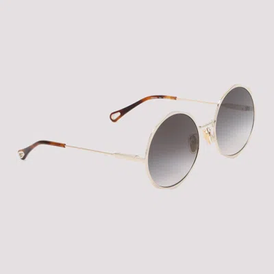 Chloé Acetate Gold Sunglasses