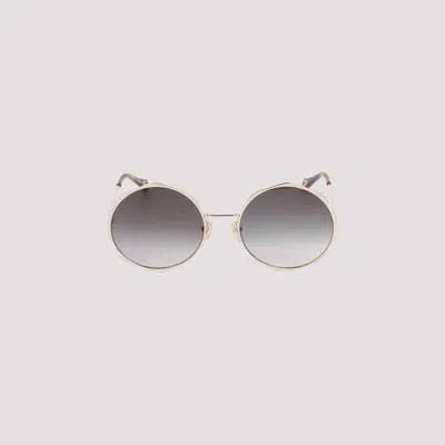 Chloé Acetate Gold Sunglasses