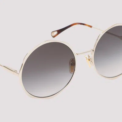 Chloé Acetate Gold Sunglasses