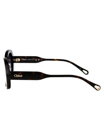 Chloé Acetate Havana Sunglasses