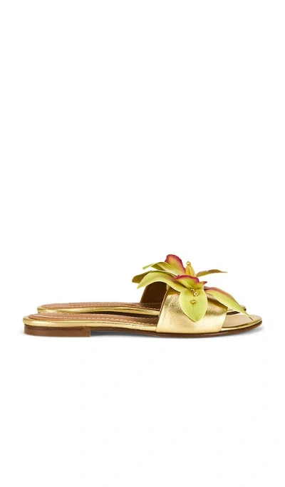Alameda Turquesa Flower Leather Sandals In Gold