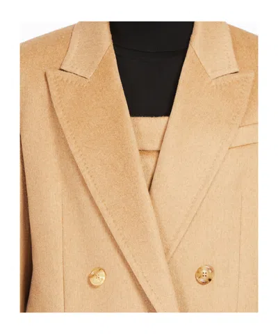 Max Mara Olimpia Jacket In Sable Camel