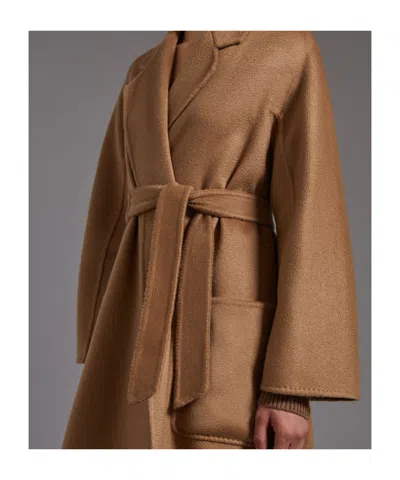 Max Mara Collared Long-sleeved Coat In Brown