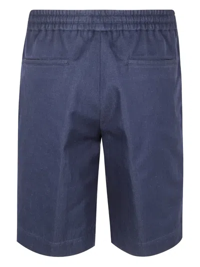 Incotex Regular Fit Pleated Front Shorts