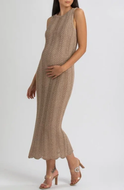 Pietro Brunelli Maternity Maternity Sleeveless Crochet Knit Fitted Maxi Hibiscus Dress In Metal Shining