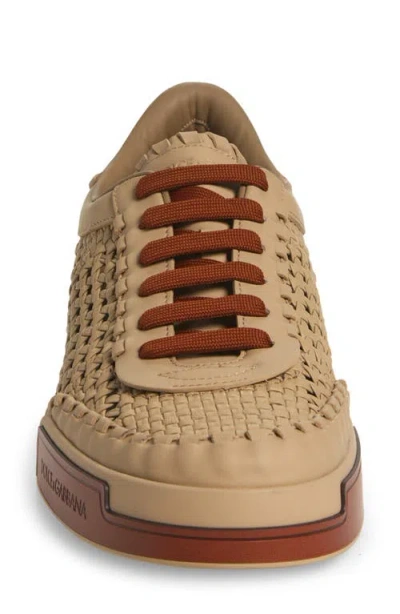 Dolce & Gabbana Cappuccino Leather Portofino Sneakers In Brown