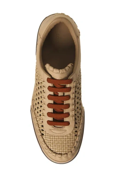Dolce & Gabbana Cappuccino Leather Portofino Sneakers In Brown