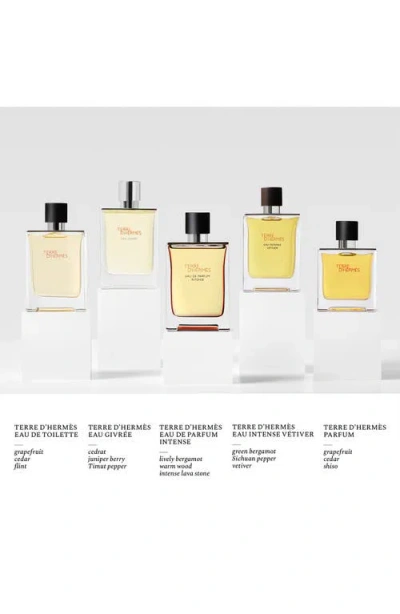 Hermes Terre D'hermès