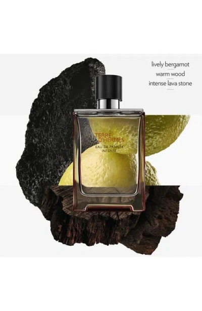 Hermes Terre D'hermès