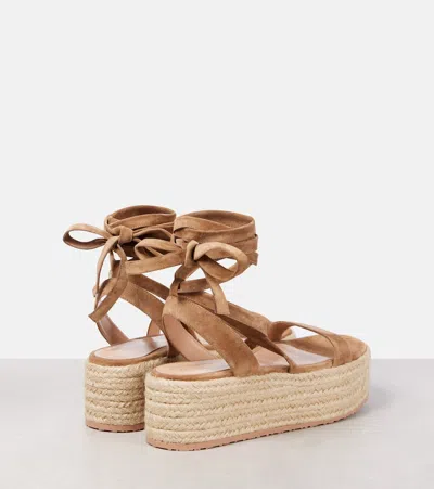 Gianvito Rossi Suede-trimmed Platform Espadrilles In Brown