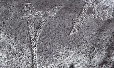 Luxury Home Contemporary Embossed Eiffel Tower Throw Blanket