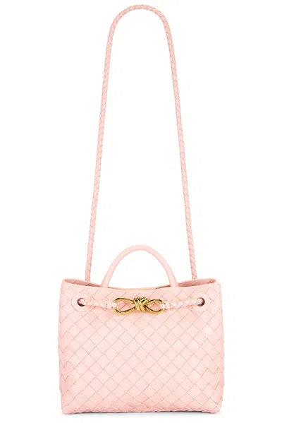 Bottega Veneta Small Andiamo Bag