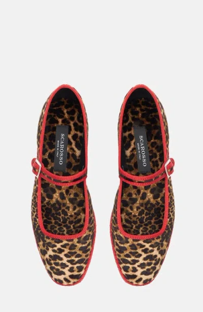 Scarosso Petra Velvet Slippers In Leo - Velvet