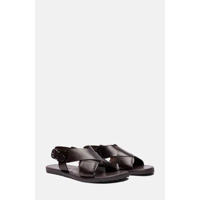 Scarosso Massimo Buckle-fastened Sandals In Brown