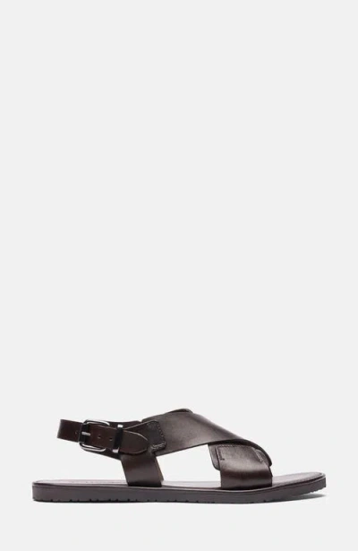 Scarosso Massimo Buckle-fastened Sandals In Brown