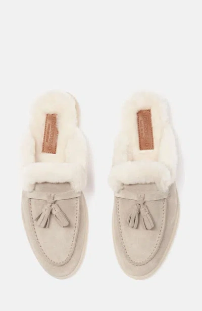 Scarosso Lucrezia Shearling Slip-on Mules In Sand - Suede Fur