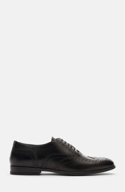 Scarosso Judy Lace-up Leather Brogues In Black