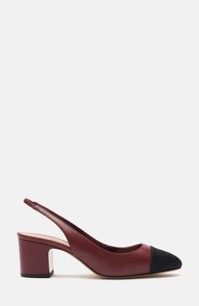 Scarosso Miranda Slingback Pumps In Multi