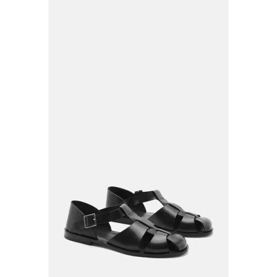 Scarosso Apollo Buckle-fastened Sandals In Black