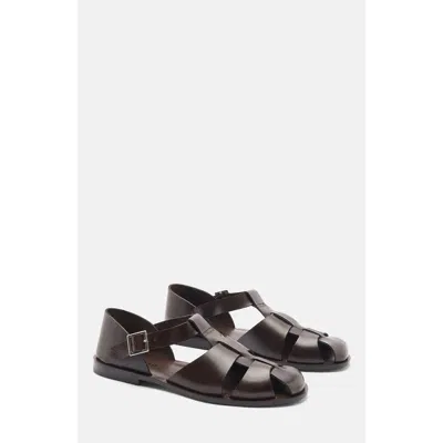 Scarosso Apollo Buckle-fastened Sandals In Brown