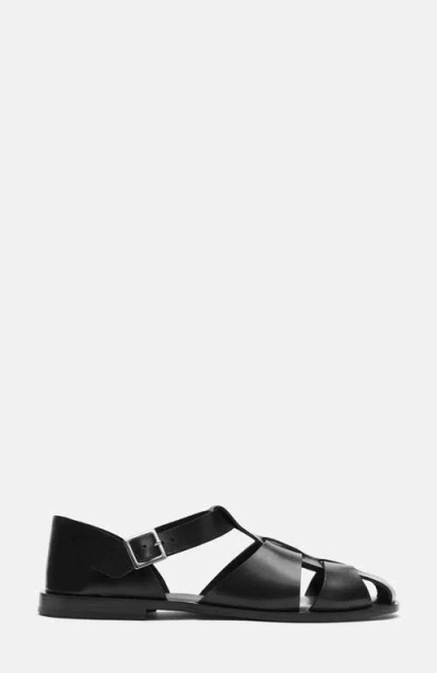 Scarosso Apollo Buckle-fastened Sandals In Black