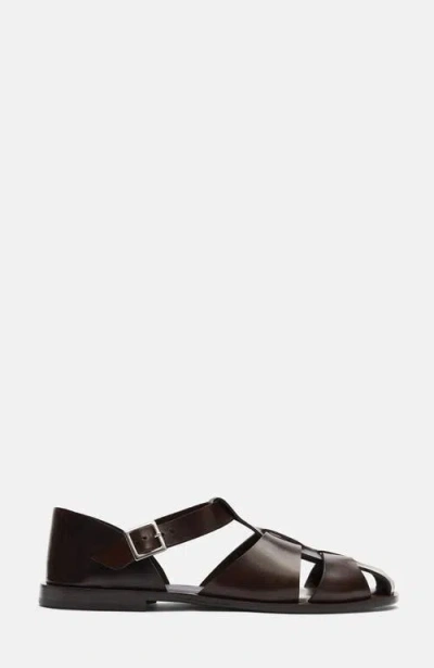 Scarosso Apollo Buckle-fastened Sandals In Brown