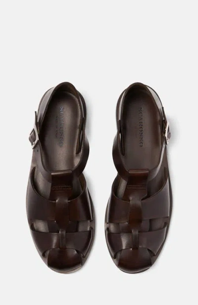 Scarosso Apollo Buckle-fastened Sandals In Brown