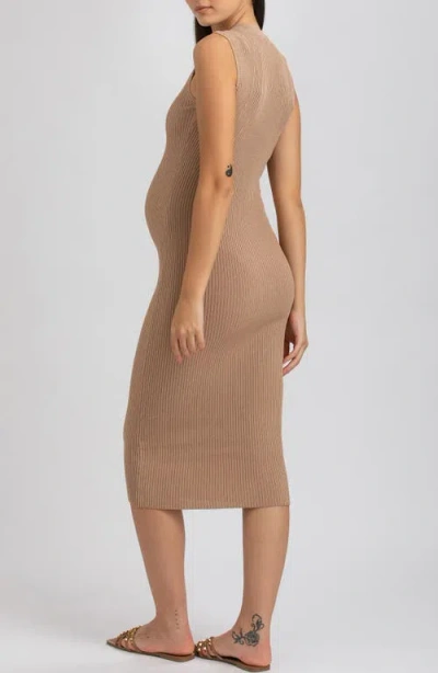 Pietro Brunelli Maternity Maternity Sleeveless Fitted Rib Knit Iris Dress In Moonlight Rock