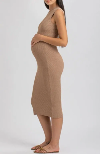 Pietro Brunelli Maternity Maternity Sleeveless Fitted Rib Knit Iris Dress In Moonlight Rock
