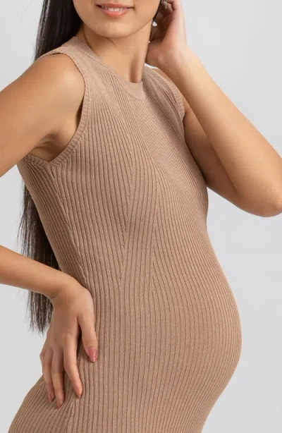 Pietro Brunelli Maternity Maternity Sleeveless Fitted Rib Knit Iris Dress In Moonlight Rock