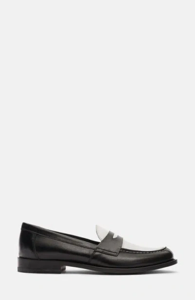 Scarosso Harper Black Edit In Multi