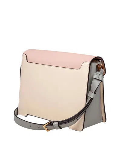 Marni Light Pink, White And Grey Leather Trunkaroo Medium Shoulder Bag In Multi