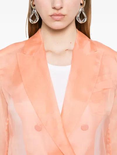 Max Mara Esopo Blazer