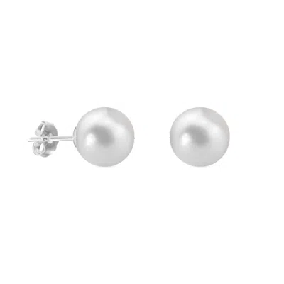 Donatello Gian Shell Pearl Studs Earrings