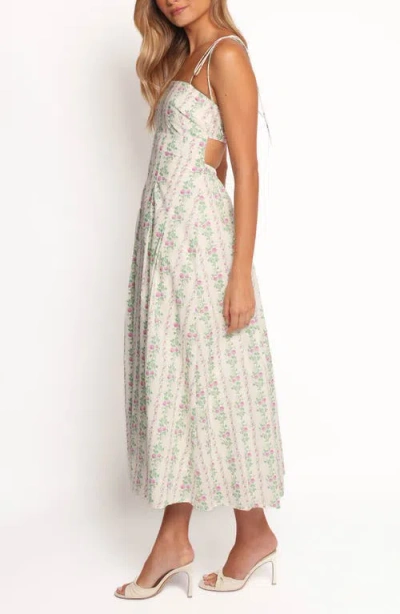 Petal And Pup Petal & Pup Emory Floral Sleeveless Maxi Sundress In Animal Print
