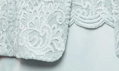 Alex Evenings Embroidered Lace Mock Two-piece Gown With Jacket