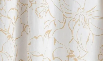 Pietro Brunelli Maternity Maternity Floral Print Hidden Pocket Midi Olivia Skirt In Soft Fine Lines