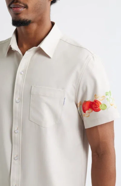 Mavrans Ciao Weekend Cucina Print Short Sleeve Performance Button-up Shirt