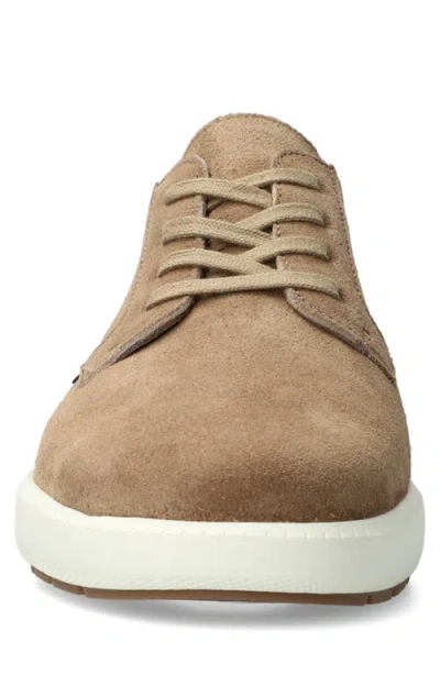 Mephisto Joris Sneaker In Brown