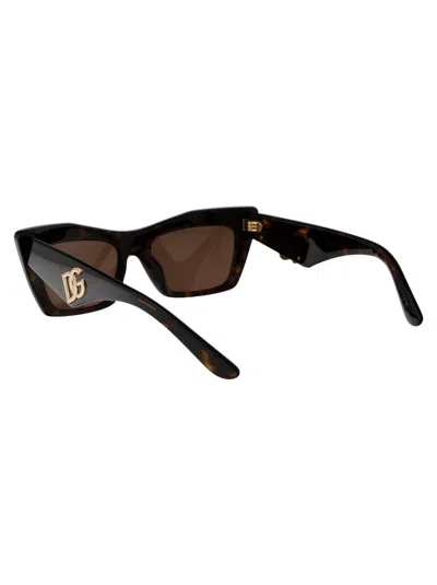 Dolce & Gabbana Havana Acetate Sunglasses
