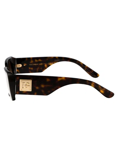 Dolce & Gabbana Havana Acetate Sunglasses