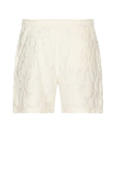 Oas Summit Terry Shorts