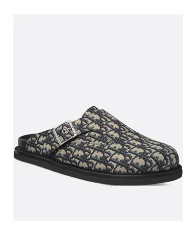 Dior Aqua Mule In Multi