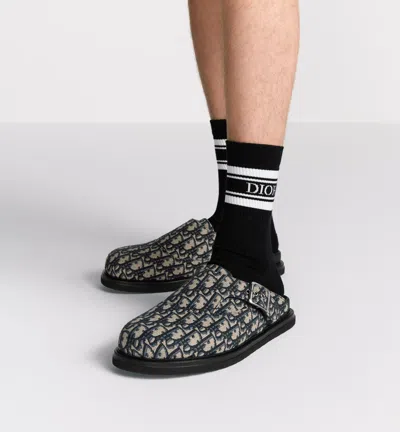 Dior Aqua Mule In Multi