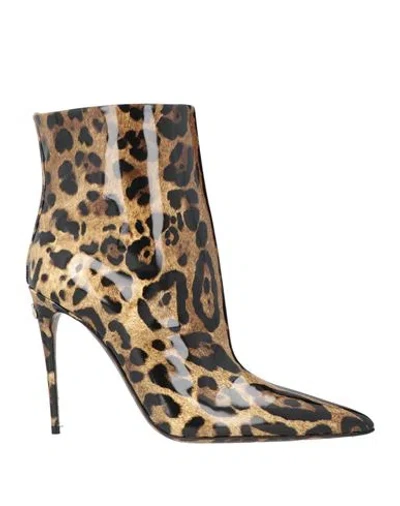 Dolce & Gabbana Leopard Print Pvc Pointed Toe Boots Shoes