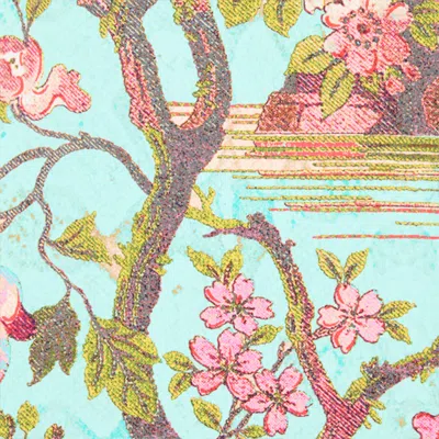 Roberto Cavalli Floral-print Top